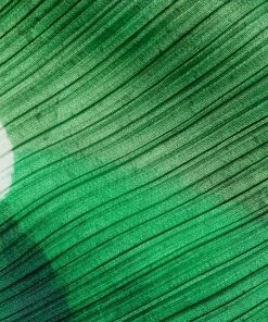 Pleats Please Petal Waltz