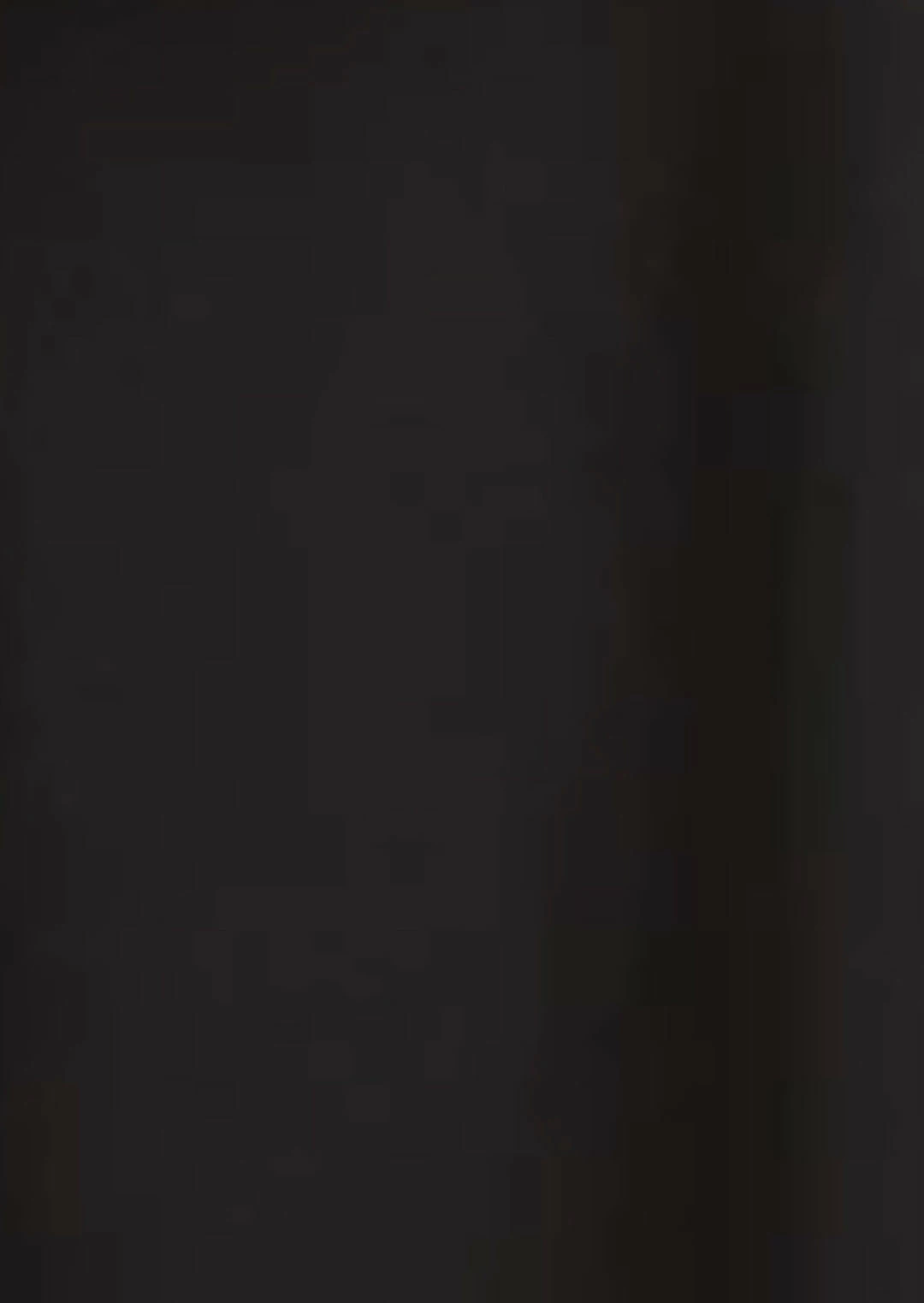 Liv Tank Long 2 Liv Tank Long