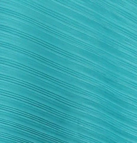 VANITE One Size Pleat Top 2 VANITE One Size Pleat Top