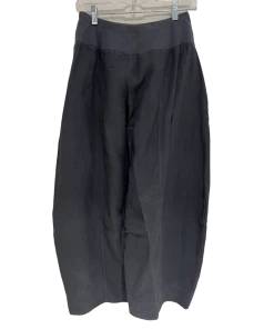 BANANA BLUE Pants Iron Flat Front Pant 11 BANANA BLUE Pants Iron Flat Front Pant